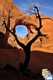 arches
