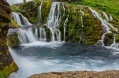 DSC07528.jpg