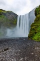 DSC07770.jpg