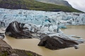 DSC07819.jpg