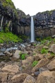 DSC07848.jpg