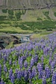DSC08013R.jpg
