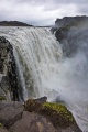 DSC08051R.jpg