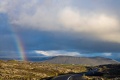 DSC08330.jpg