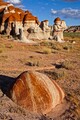DSC00177RS.JPG