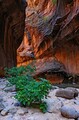 Filename=DSC04013R_dehazed.jpg
Filesize=163KiB
Dimensions=461x700
Date added=Jul 10, 2021 DSC04013R_dehazed.jpg