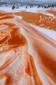 DSC07540R.jpg