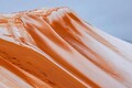 DSC07551r.jpg