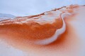 DSC07555R.jpg