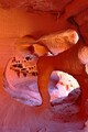 Filename=DSC11039R_dehazed.jpg
Filesize=120KiB
Dimensions=467x700
Date added=Jul 10, 2021 DSC11039R_dehazed.jpg