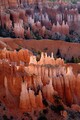 Filename=DSC54649r_dehazed.jpg
Filesize=143KiB
Dimensions=467x700
Date added=Jul 10, 2021 DSC54649r_dehazed.jpg
