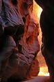 Filename=DSC55162R_dehazed.jpg
Filesize=120KiB
Dimensions=467x700
Date added=Jul 10, 2021 DSC55162R_dehazed.jpg