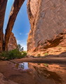 Filename=NEGRO_BILL_PANO5RS.jpg
Filesize=207KiB
Dimensions=549x700
Date added=Mar 21, 2020 NEGRO_BILL_PANO5RS.jpg