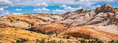 Filename=RED_TOP_PANO1RS.jpg
Filesize=571KiB
Dimensions=1700x620
Date added=Mar 21, 2020 RED_TOP_PANO1RS.jpg
