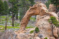 Filename=DSC01902R.JPG
Filesize=471KiB
Dimensions=1050x700
Date added=Mar 20, 2020 DSC01902R.JPG