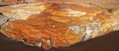 Filename=201909_crystal_pano1.jpg
Filesize=540KiB
Dimensions=1633x700
Date added=Mar 08, 2020 201909_crystal_pano1.jpg