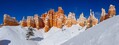 Filename=bryce_201912_pano14.jpg
Filesize=307KiB
Dimensions=1700x641
Date added=Nov 22, 2020 bryce_201912_pano14.jpg