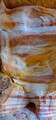 Filename=buffington_pockets_201912_pano4.jpg
Filesize=109KiB
Dimensions=328x700
Date added=Nov 22, 2020 buffington_pockets_201912_pano4.jpg