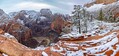 zion_201912_pano8.jpg