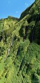 202508_acores_flores_pano3R.jpg