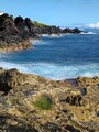 PXL_20250808_093817504R.jpg
