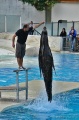 Filename=DSC43768.JPG
Filesize=139KiB
Dimensions=426x640
Date added=Sep 09, 2012 DSC43768.JPG