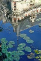 Filename=DSC01835.JPG
Filesize=244KiB
Dimensions=512x768
Date added=Sep 09, 2011 DSC01835.JPG