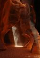 DSC03399R.jpg
