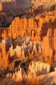 DSC08930R.JPG