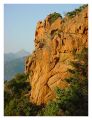Filename=piana2.JPG
Filesize=90KiB
Dimensions=368x480
Date added=Feb 04, 2006 piana2.JPG