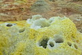 DSC00011R.jpg