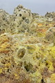 DSC00017R.jpg