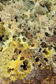 DSC00022R.jpg