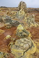DSC00024R.jpg