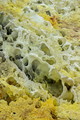 DSC00045R.jpg