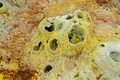 DSC00047R.jpg