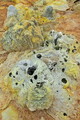 DSC00048R.jpg
