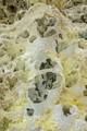 DSC00049R.jpg