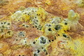 DSC00050R.jpg