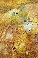 DSC00053R.jpg