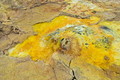 DSC00055R.jpg