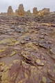 DSC09289r.jpg