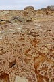 DSC09335R.jpg