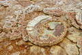 DSC09339R.jpg
