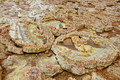 DSC09340R.jpg