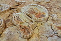 DSC09342R.jpg