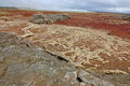 DSC09358R.jpg