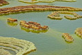 Filename=DSC09428R.jpg
Filesize=339KiB
Dimensions=1050x700
Date added=Mar 03, 2020 DSC09428R.jpg