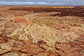 DSC09446R.jpg