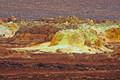 Filename=DSC09449R.jpg
Filesize=411KiB
Dimensions=1050x700
Date added=Mar 03, 2020 DSC09449R.jpg